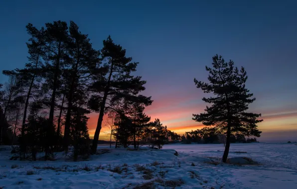Картинка зима, деревья, пейзаж, закат