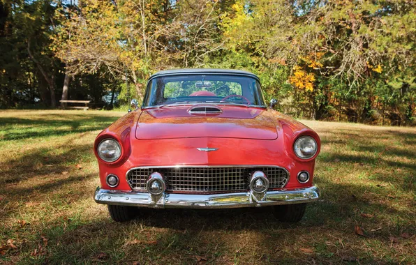 Ford, Форд, 1965, ретро автомобили, Thunderbird, retro cars, Ford Thunderbird Convertible
