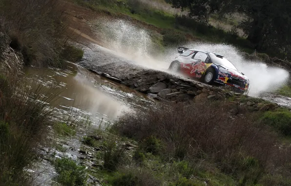 Вода, Спорт, Citroen, Брызги, DS3, WRC, Rally, Ралли