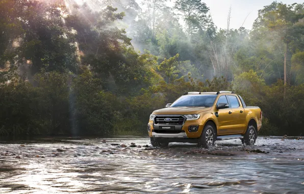Ford, пикап, 2018, Ranger, Wildtrak