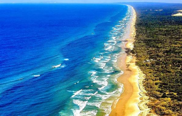 Картинка песок, море, волны, берег, растительность, Австралия, Квинсленд, остров Фрейзер