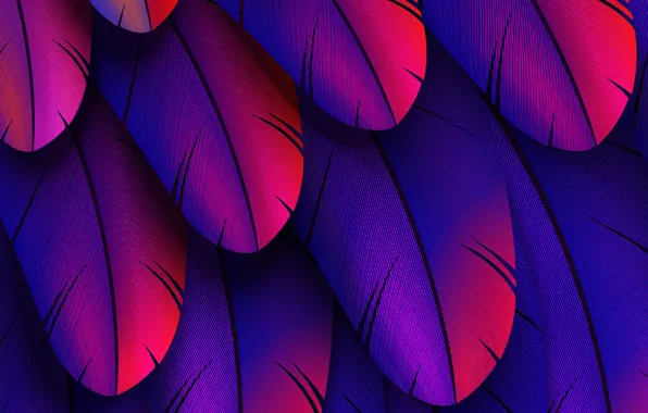 Colorful, feather, abstract 3D