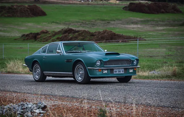 Картинка Aston Martin, DBS, 1976