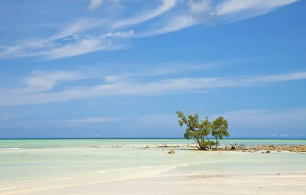 Картинка песок, море, пляж, небо, природа, отлив