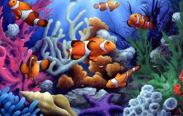 Рыбки, ракушка, кораллы, морская звезда, под водой