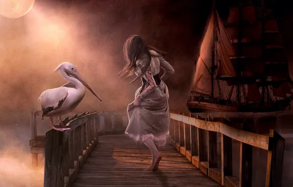 Девушка, корабль, мостик, пеликан