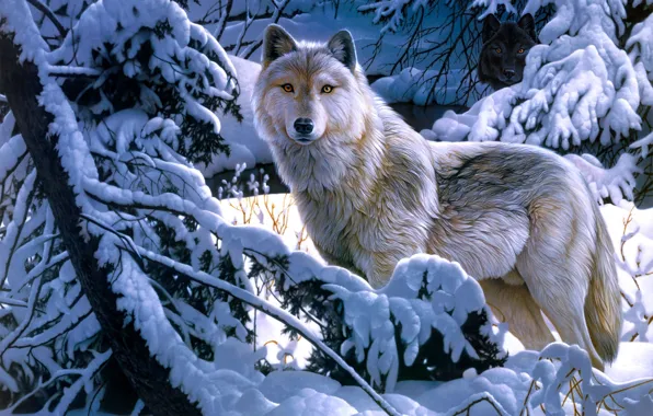 Картинка зима, лес, снег, волк, арт, Jerry Gadamus