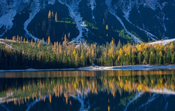 Осень, лес, горы, озеро, отражение, Италия, Italy, Доломитовые Альпы