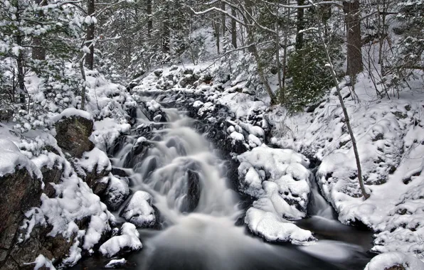 Картинка зима, лес, природа, река