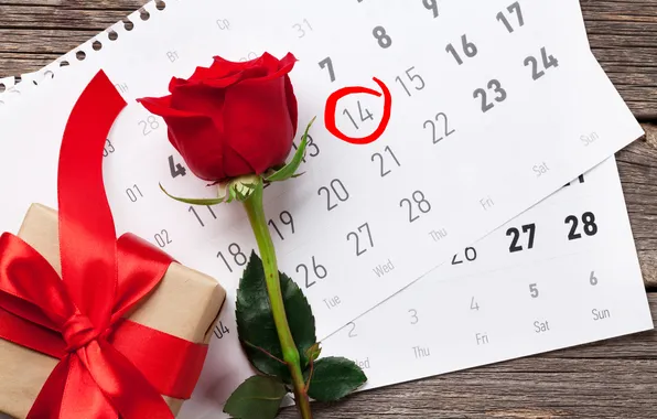 Картинка любовь, цветы, подарок, романтика, розы, love, happy, День святого Валентина