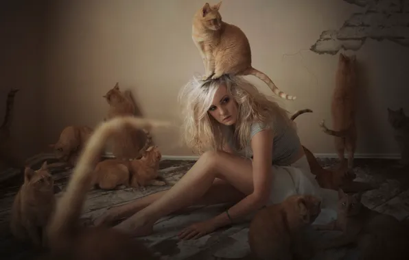 Картинка девушка, кошки, коты, рыжие