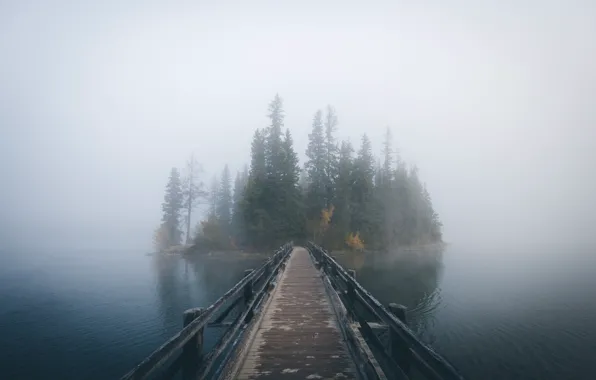 Картинка осень, лес, деревья, туман, озеро, остров, дымка