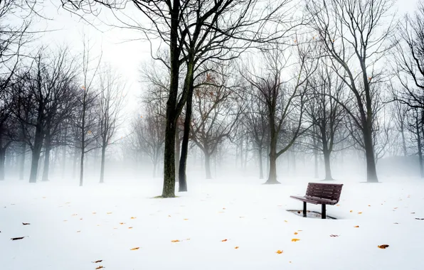Картинка снег, туман, парк, скамья