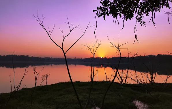 Sun, Water, Sunrise, Dawn, Morning, Lake, Trees, Reflection