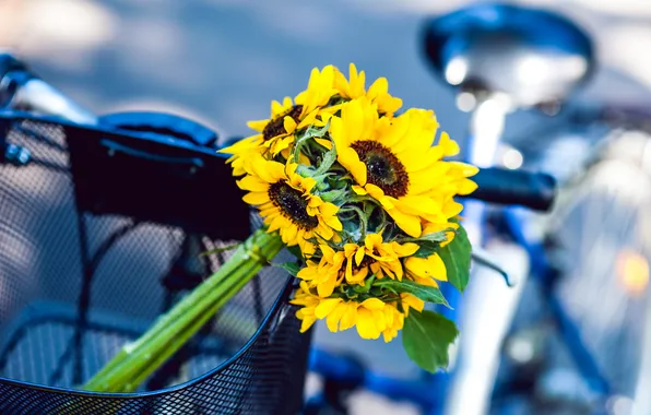 Картинка подсолнухи, цветы, велосипед, корзина, желтые