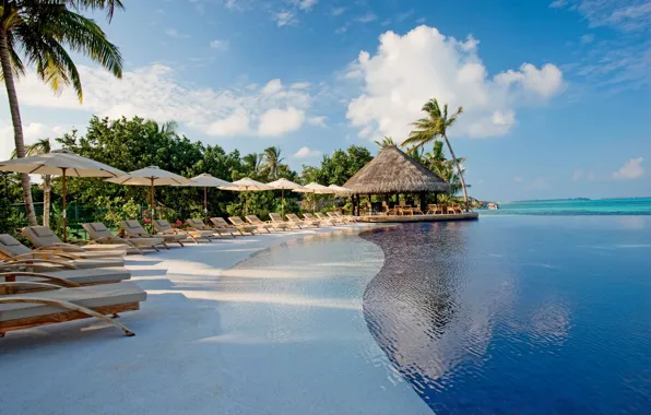 Pool, ocean, vacation, palms, resort, Dominican republic