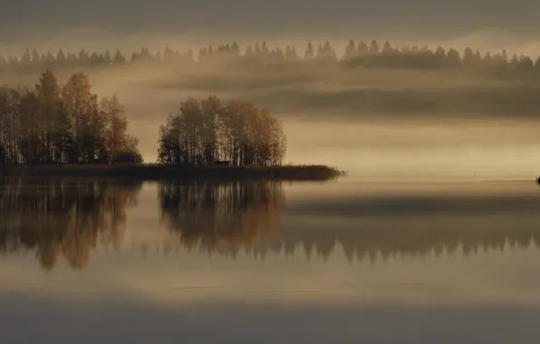 Картинка осень, туман, озеро, лодка