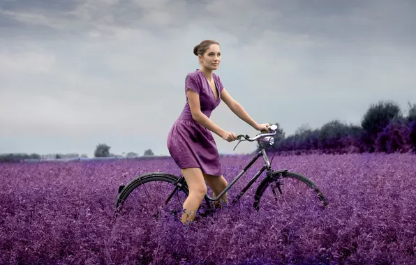 Картинка поле, фиолетовый, девушка, цветы, велосипед
