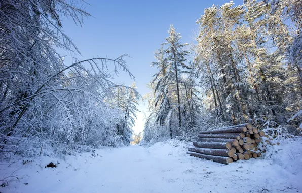 Картинка зима, лес, дрова