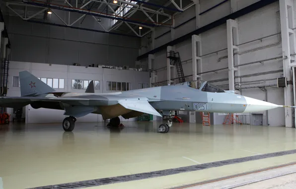 Т-50, ПАК ФА, ОКБ Сухого, И-21, Перспективный авиационный комплекс фронтовой авиации, Су-50, ВКС России, Чабрец