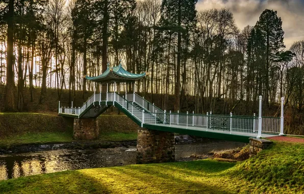 Трава, деревья, мост, парк, ручей, Шотландия, Ayrshire, Dumfries House