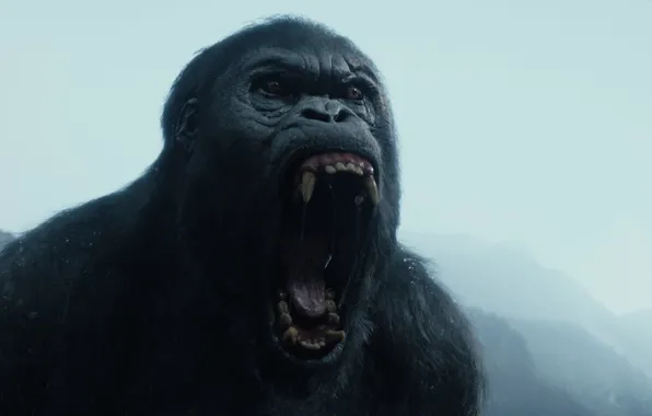 Кино, горилла, клыки, The, Legend, рык, year, Movie
