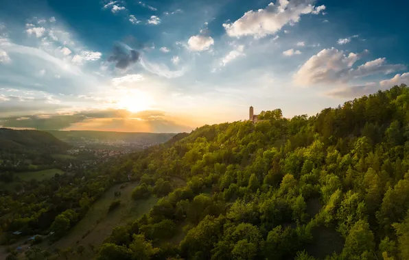 Зелень, лес, замок, холмы, башня