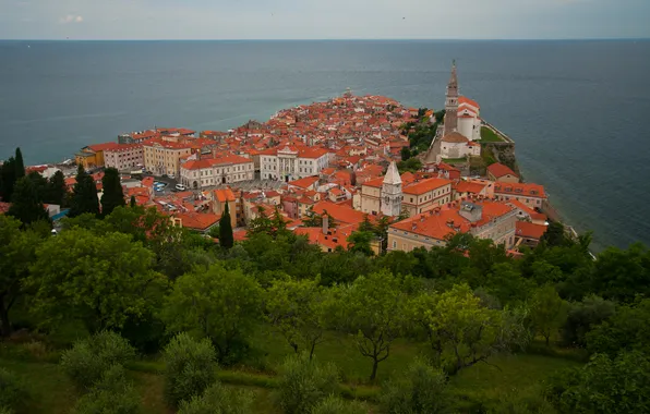 Картинка крыша, море, деревья, башня, дома, Slovenia, словения, Piran