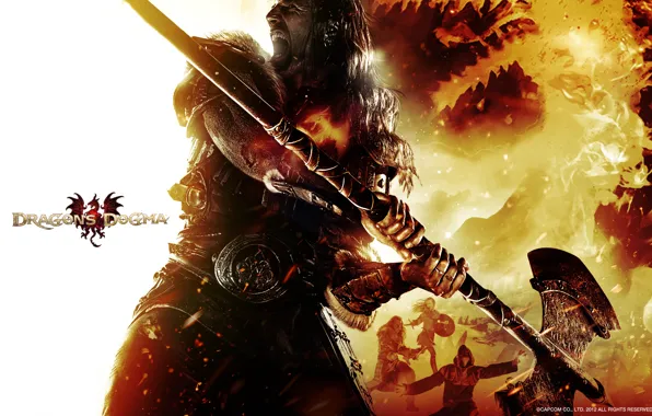 Wallpaper, gaming, 2013, Dragons Dogma