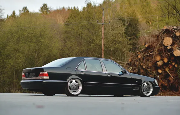 Картинка Mercedes - Benz, S-Klasse, W140, S500, LONG