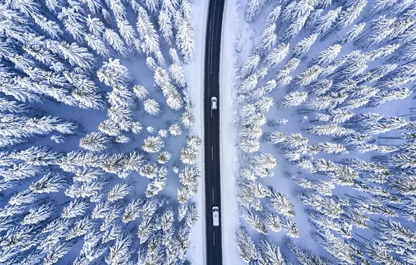 Ice, forest, road, snow, vehicle, aerial view