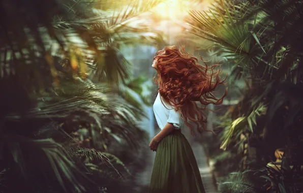 Картинка девушка, пальмы, настроение, волосы, Monica Lazar