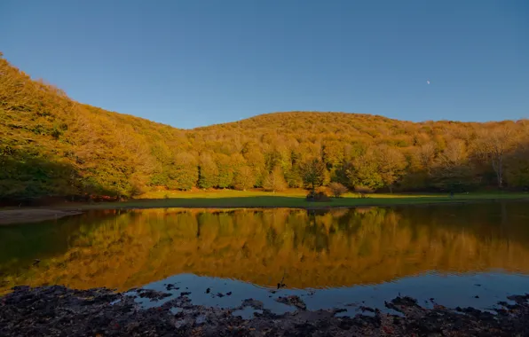 Картинка Природа, Осень, Озеро, Лес, Nature, Fall, Autumn, Colors