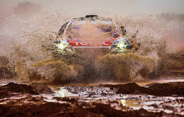 Песок, 2008, Спорт, Скорость, Свет, Гонка, Грязь, Peugeot