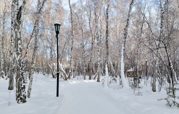 Зима, дорога, лес, небо, снег, улица, белое, голубое