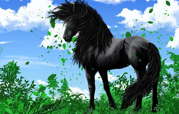 Картинка небо, трава, взгляд, листья, облака, животное, конь, черный