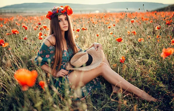 Картинка поле, взгляд, девушка, солнце, цветы, природа, поза, модель