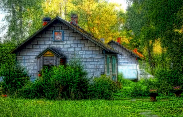 Лето, деревья, дом, HDR, Россия, St. Petersburg, Санкт Петербург, Пушкино