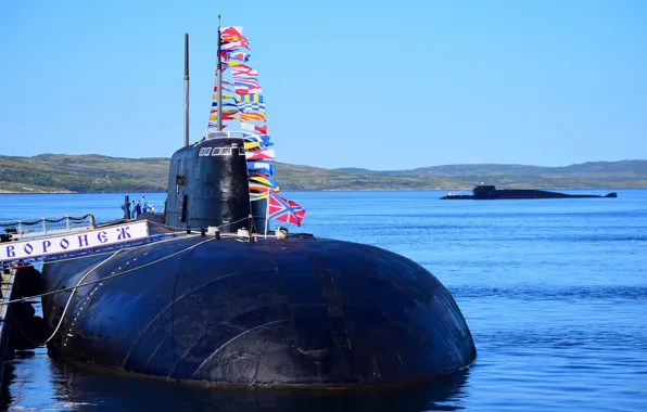 Субмарины, воронеж, тула