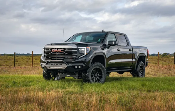 GMC, Hennessey, Sierra, Off-Road, 2023, Goliath 650, GMC Sierra AT4