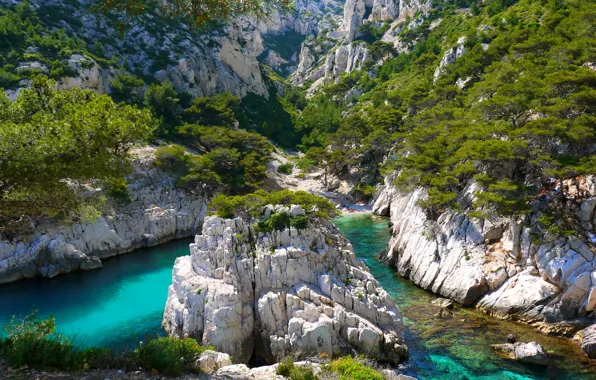 Картинка зелень, горы, скалы, растительность, Франция, речка, Marseille