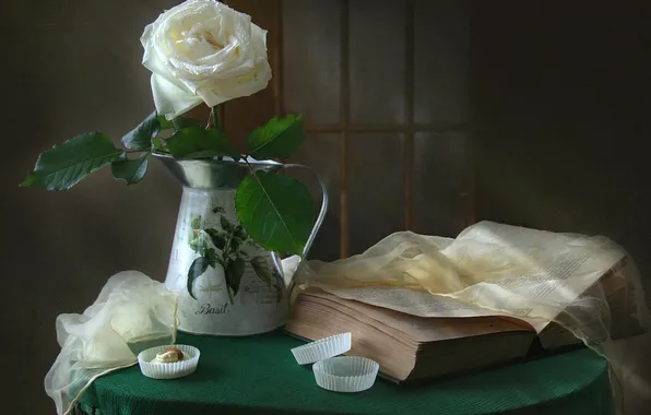 Уют, роза, книга, натюрморт