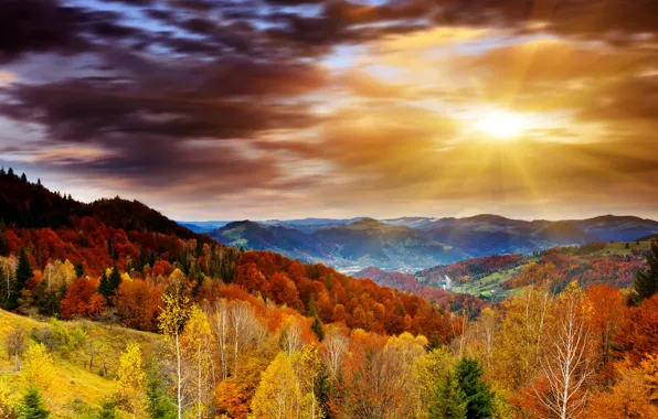 Картинка осень, лес, небо, облака, деревья, горы, рассвет, лучи солнца