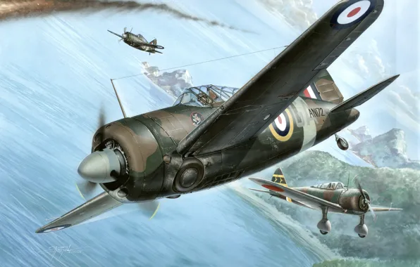 Великобритания, палубный истребитель, Raf, Stanislav Hajek, Brewster, Buffalo Mk.I