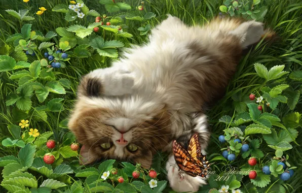 Картинка кошка, ягоды, бабочка, черника, земляника, пушистая, котейка