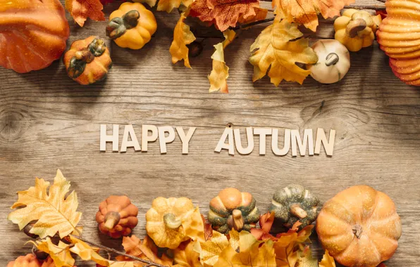 Картинка осень, листья, фон, доски, colorful, тыква, клен, wood