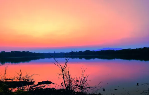 Sun, Water, Sunrise, Dawn, Morning, Lake, Trees, Reflection