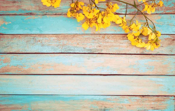 Цветы, весна, желтые, vintage, yellow, wood, flowers, spring