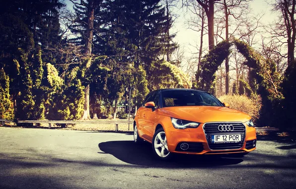 Картинка Audi, Ауди, Оранжевый, Sportback