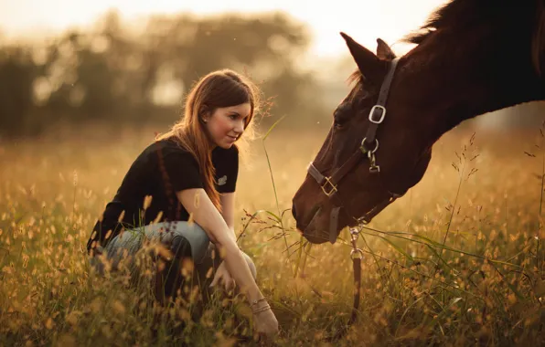Картинка поле, девушка, конь